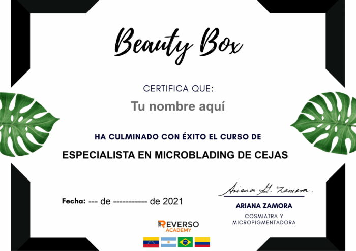 Especialista en Microblading de Cejas certificado mec valido